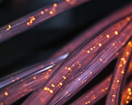 Category 6 Unshielded Twisted Pair (UTP), Coaxial, and Single Mode Fiber
                      Optic