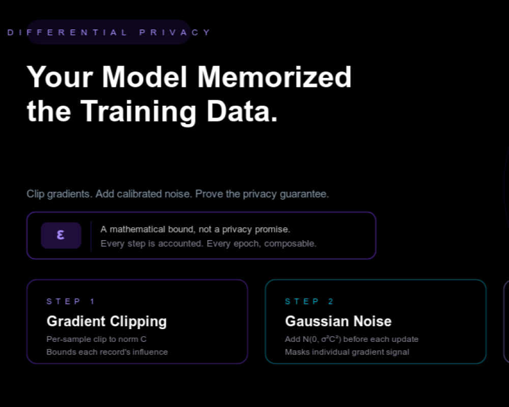 DP-SGD Training Data